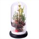 thumbnail image 1 of Plantas navideñas con cúpula de cristal Adornos navideños Rama de pino navideña con cúpula de cristal y luces, 1 of 5