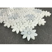 Thassos White & Blue Celeste Marble Daisy Waterjet Mosaic Wall & Floor Tile – Case (10 Sheets)