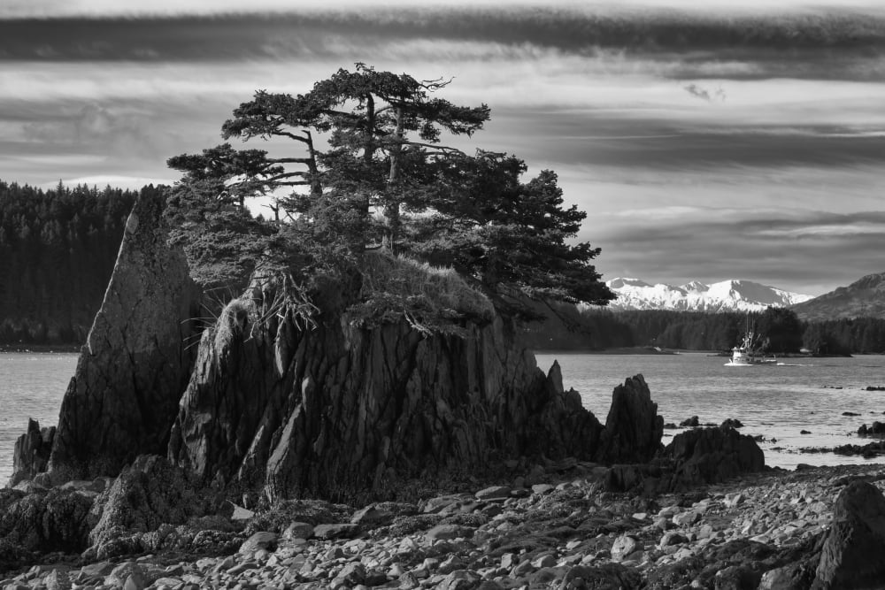 Black And White Of