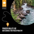 thumbnail image 5 of Adult Feline - SubZero Grain Free - Fraser Valley - Dry Cat Food, 5 of 5