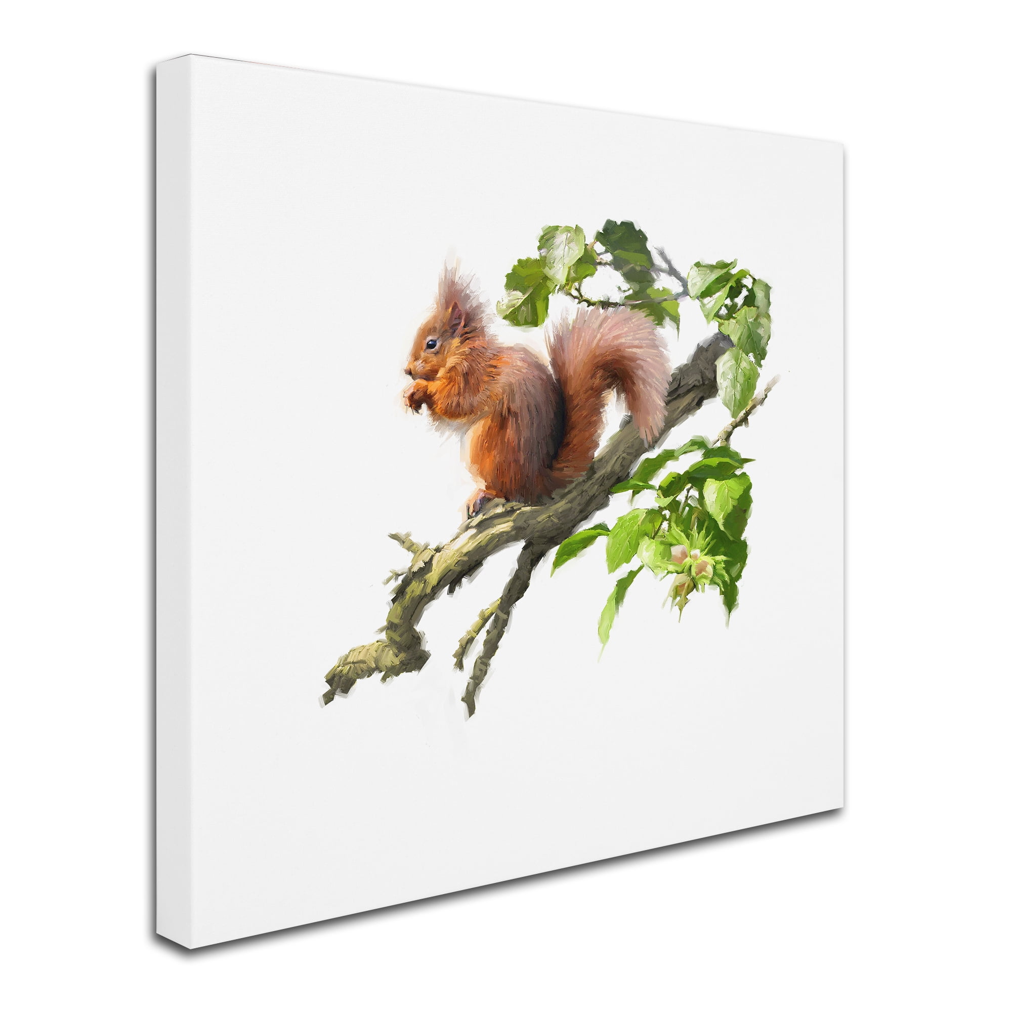 Trademark Fine Art 'Red Squirrel' Canvas Art by The Macneil Studio