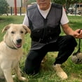 thumbnail image 1 of Chaleco de entrenamiento de perros para adiestradores Chaleco de entrenamiento de perros transpirable multifuncional para entrenamiento de obediencia , negro, M, 1 of 8