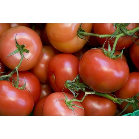 - Tomato Rutgers Great Heirloom Garden Vegetable 300 Seeds