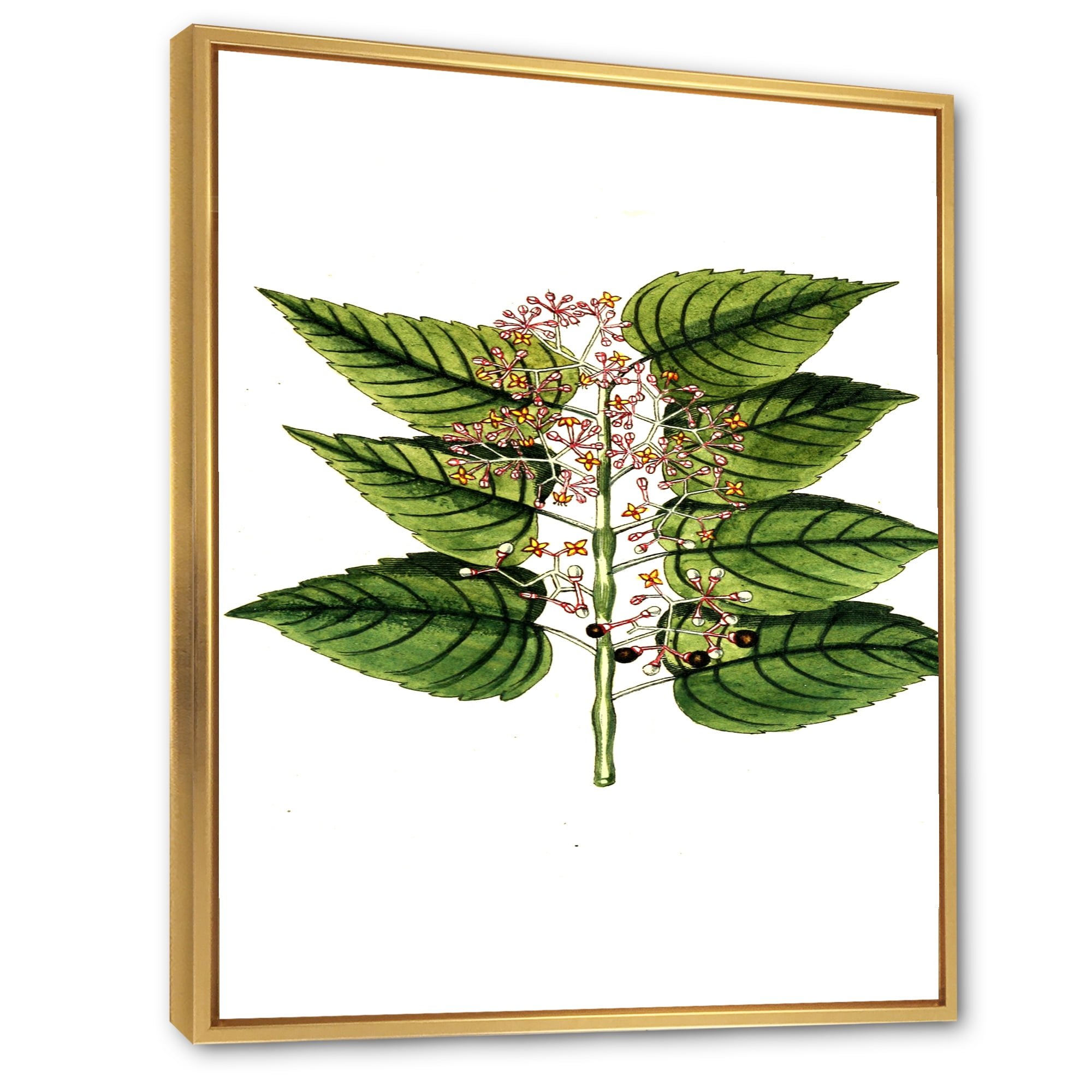 Ancient Plant Life XXVI 24 in x 32 in Framed Painting Canvas Art Print, by Designart