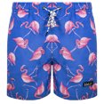 thumbnail image 1 of TRAJE DE BAÑO CORTO PARA HOMBRE SECADO RÁPIDO MAUI AND SONS  323356, 1 of 7