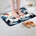 thumbnail image 3 of Tapis de Bain Cheval Animaux de Ferme 16"x24 Pouces Tapis pour Filles, Accessoires de Salle de Bain Western Soleil Rouge Nuages Tapis Extérieurs, Cadeaux Cheval Décoration Western pour la Maison, 3 of 5