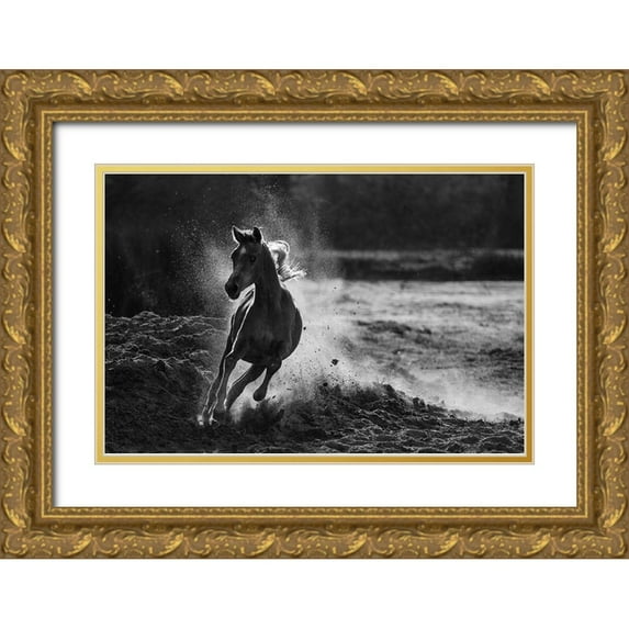 Alnaser, Mohammed 14x11 Gold Ornate Wood Framed with Double Matting Museum Art Print Titled - Take off