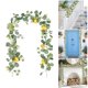 thumbnail image 1 of Artificial Lemon Garland | Rattan Vine Greenery | 2m Faux Lemon Leaf Hanging Decor | Indoor Outdoor Festive Wedding Reception Wall Art | Realistic Plastic 1 Piece, 1 of 6