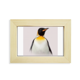 thumbnail image 1 of Pechos de pingüino antártico Escritorio de madera Arte Pintura 5x7 pulgadas marco de foto foto, 1 of 4