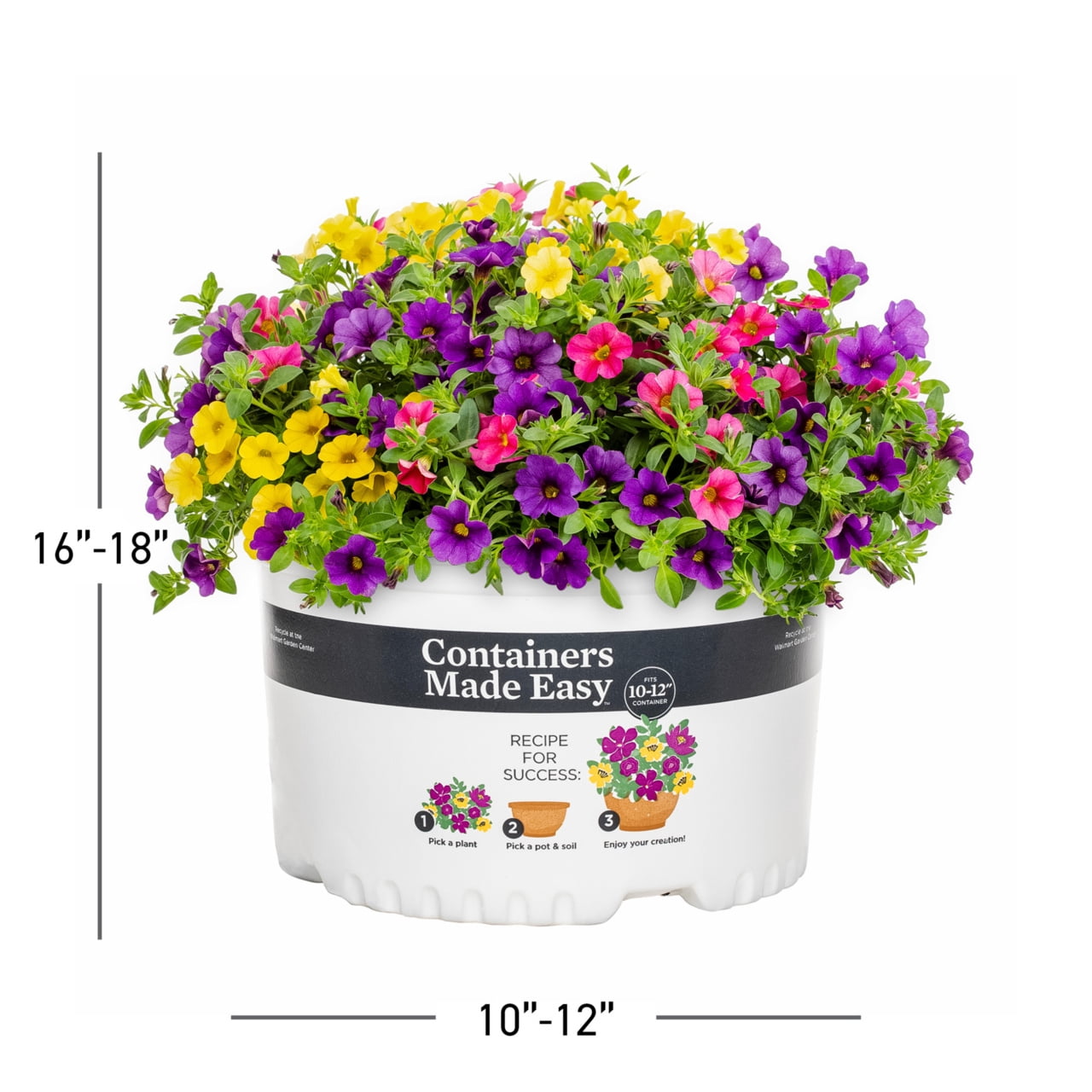 Containers Made Easy 1.5gal Multicolor Calibrachoa Sundance Mix Live Annual Plant Sun