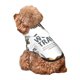 thumbnail image 5 of Balery World Travel Sudadera con Capucha para Perros Pequeños – Ropa para Mascotas, Disfraz para Perros y Gatos, Ideal para Fiestas y Cosplay-X-Small, 5 of 7