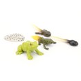 thumbnail image 4 of Modelo de ciclo de vida, modelo de simulación de ciclo de crecimiento de animales, modelo de animal de juguete, modo de ciclo de crecimiento de animales, acabado de lujo, 4 of 14