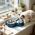 thumbnail image 6 of 2 in 1 Pet Food Water Bowl Stainless Steel, Non Slip Double Bowls Automatic Gravity Water Dispenser, Detachable Easy Clean Anti Spill Tray for Dogs Cats Small Medium Pets, 6 of 6
