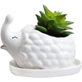 thumbnail image 2 of DAMAIE Hedgehog Ceramic Succulent Planter Flower Plant Pot Window Box With Saucer Animal Decor, 2 of 4