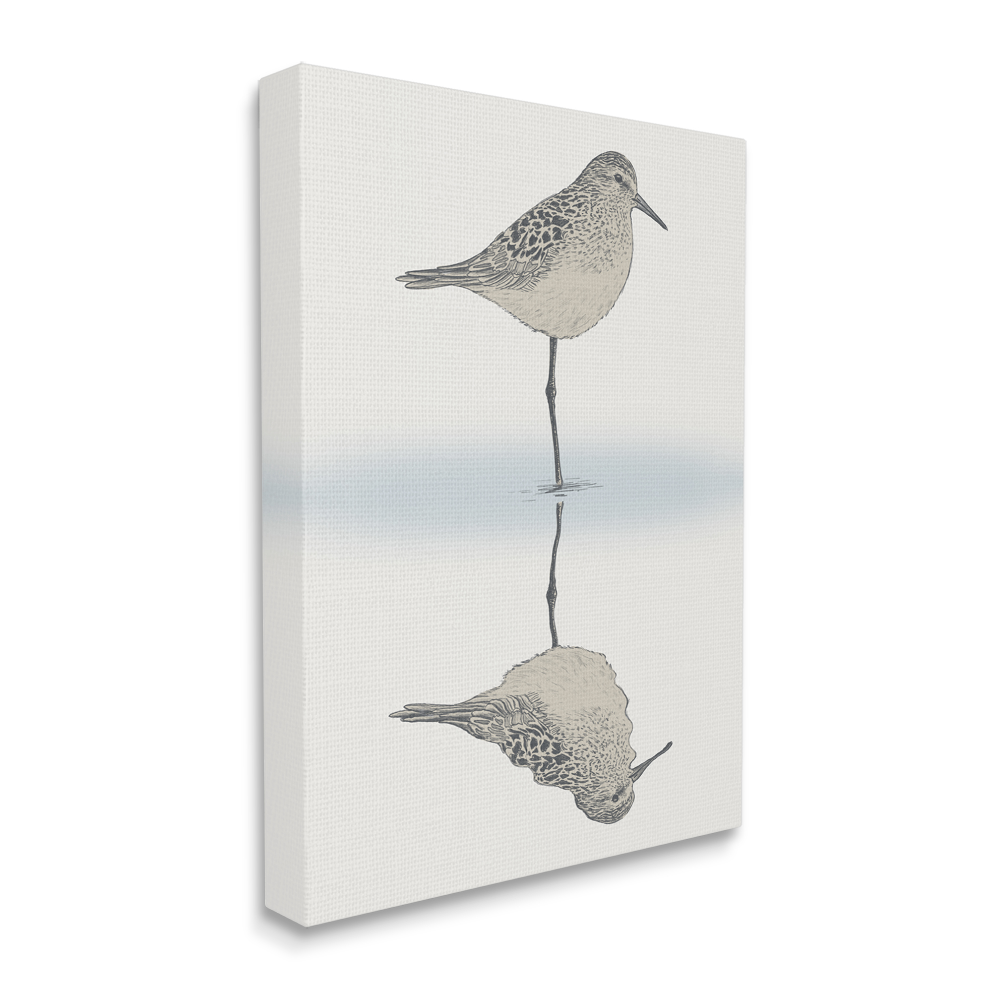Stupell Industries Soothing Sandpiper Bird Standing Ocean Shoreline Reflection Graphic Art Gallery Wrapped Canvas Print Wall Art, Design by Ziwei Li