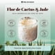 thumbnail image 2 of Vela Aromatica DE Cera DE Soya 100% Artesanal MIEL DE FUEGO Aroma Flor DE Cactus y Jade 450 gr, 2 of 7