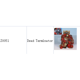 thumbnail image 1 of Z List Plate Modelo Resina/Metal Recasts Miniatures (Z0002-Z0646) Gao Jiahui unisex, 1 of 2