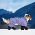 thumbnail image 6 of Full Body Suit For Dogs & Cats Shedding Dog Coat For Small To Medium Breeds All Weather Outdoor Pet Apparel, 6 of 6