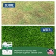 thumbnail image 5 of Turf Titan Lawn Commander  All-in-One Lawn Booster and Fertilizer 32 oz  Peak Growth & Green Grass for All Seasons  Tri-Action Nitrogen Tech Fertilizer Concentrate  Covers up to 8,000 Sq Ft, 5 of 8