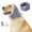241#Purple, variant on Dog Calming Hoodie with Anxiety Relief Bands, Noise Reducing Winter Warmth Hood for Dogs – Adjustable Polyester Calming Cap for Thunderstorms Fireworks Stress