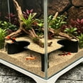 thumbnail image 5 of SouMaox Aquarium Tunnel Decor, Fish Cave Viewing Hideout with Two Holes, Shrimp Hiding Tube for Aquascaping, Fish Ornament, 1.57" x 4.72" x 4.72" Black, 5 of 6