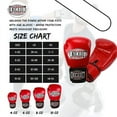 thumbnail image 5 of Kids Boxing Gloves - Youth Training Gloves for Kickboxing, MMA - Beginners' Heavy Bag Gloves - Home Gym Training & Sparring, 5 of 5
