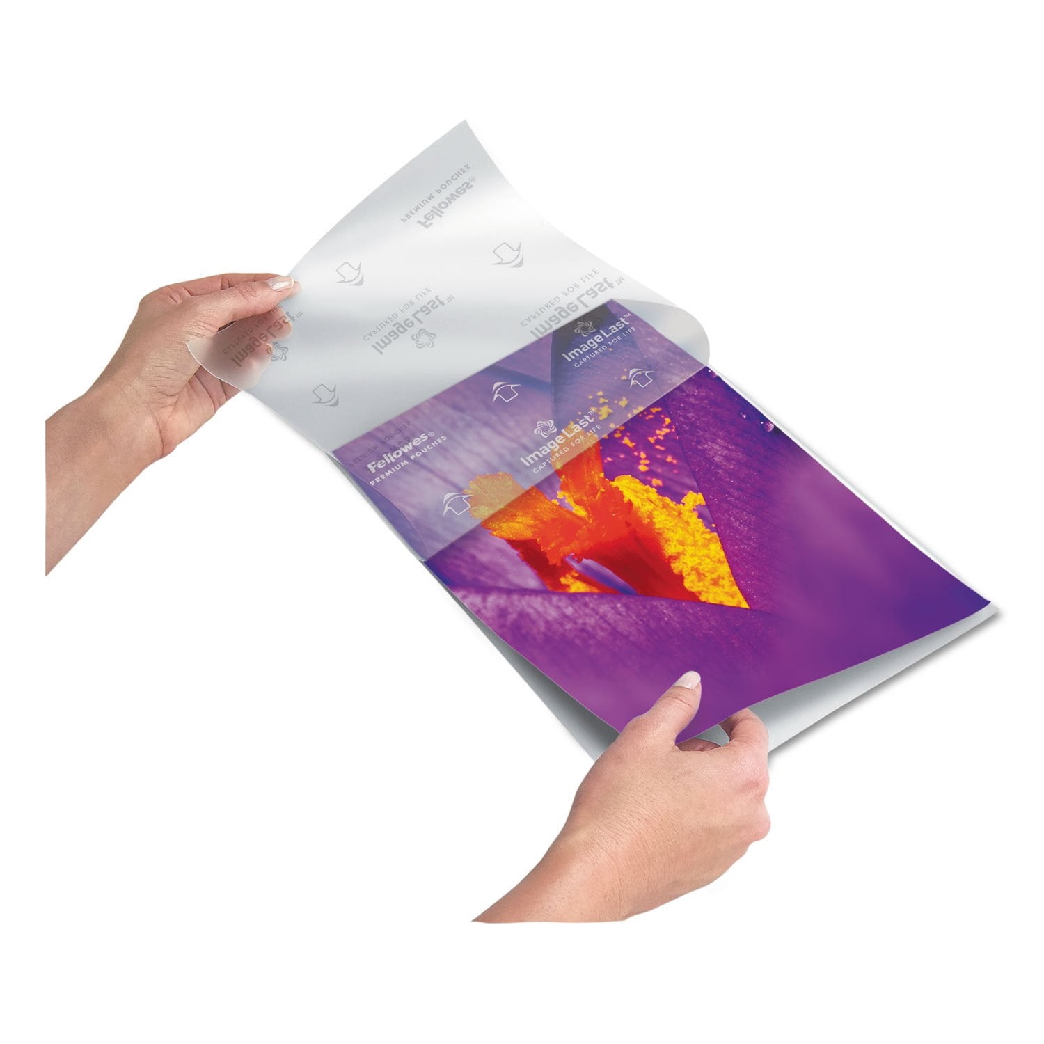 Fellowes Image Last Letter  Jam Free - 100-Pk - 3 Mil- Clear Plastic - 9 x 11.5 Glossy Laminating Pouches