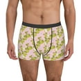 thumbnail image 2 of KLL Pears And Flower Men's Cotton Boxer Briefs Underwear-Small, 2 of 7