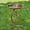 Copper Finish, variant on Zaer Ltd. Shallow Birdbath on Curved Branch Stand (Aged Copper Finish)