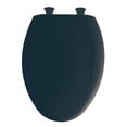 thumbnail image 2 of Bemis 1200SLOWT Lift-Off Plastic Elongated Slow-Close Toilet Seat, Available in Various Colors, 2 of 7