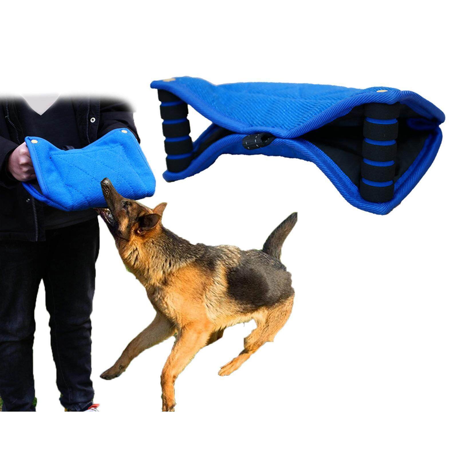 Dog training pillow hotsell