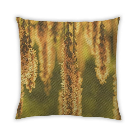 Ahgly Company Indoor Square Contemporary Throw Pillow, 18 inch by 18 inch