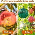 thumbnail image 5 of 3.23 inch Hanging Fly Killer for Orchard & Garden, Waterproof Non-Toxic Pest Control Traps for Fruit Flies, Gnats & Flying Insects, Indoor Outdoor Use for Kitchen, Farm & Plants, 5 of 8