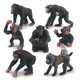 thumbnail image 1 of Set de figuras de gorila y babuino, 7 piezas, PVC, animal, 1 of 3