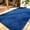 Blue, variant on PPOSFPH 3' x 5' Entrance Doormat, Heavy Duty Non Slip Front Door Mat with Rubber Backed, Indoor Outdoor Entry Rug for High Traffic Area, Blue