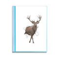 thumbnail image 1 of Animal Paper Break Shocks Book Sheet Protectors Portfolio Binder Folder, 1 of 3