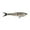 Hickory Shad, variant on Berkley PowerBait® Nessie Fishing Bait, Hickory Shad, 7 in, Soft Swimbait