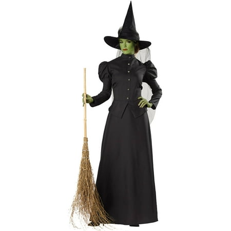 Witch Classic Deluxe Women's Adult Halloween Costume