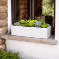 View all media