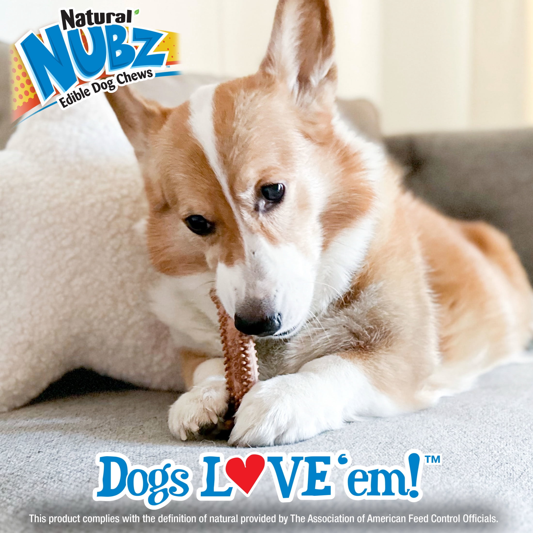 Nylabone Nubz Meaty Center Dog Treats for Large Dogs, Beef Flavor Dog Bones, Large - 30+ lbs., 2 Count