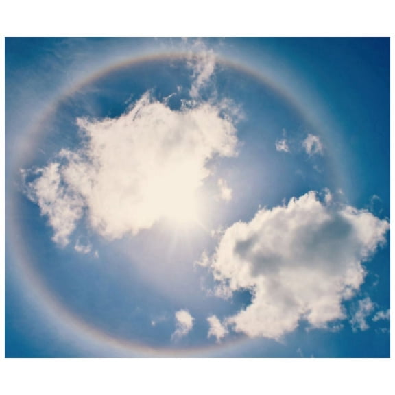 Marmont Hill Mh-Robdic-98-C-48 40" X 48" "Halo" Giclee Art Print On Stretched Canvas By