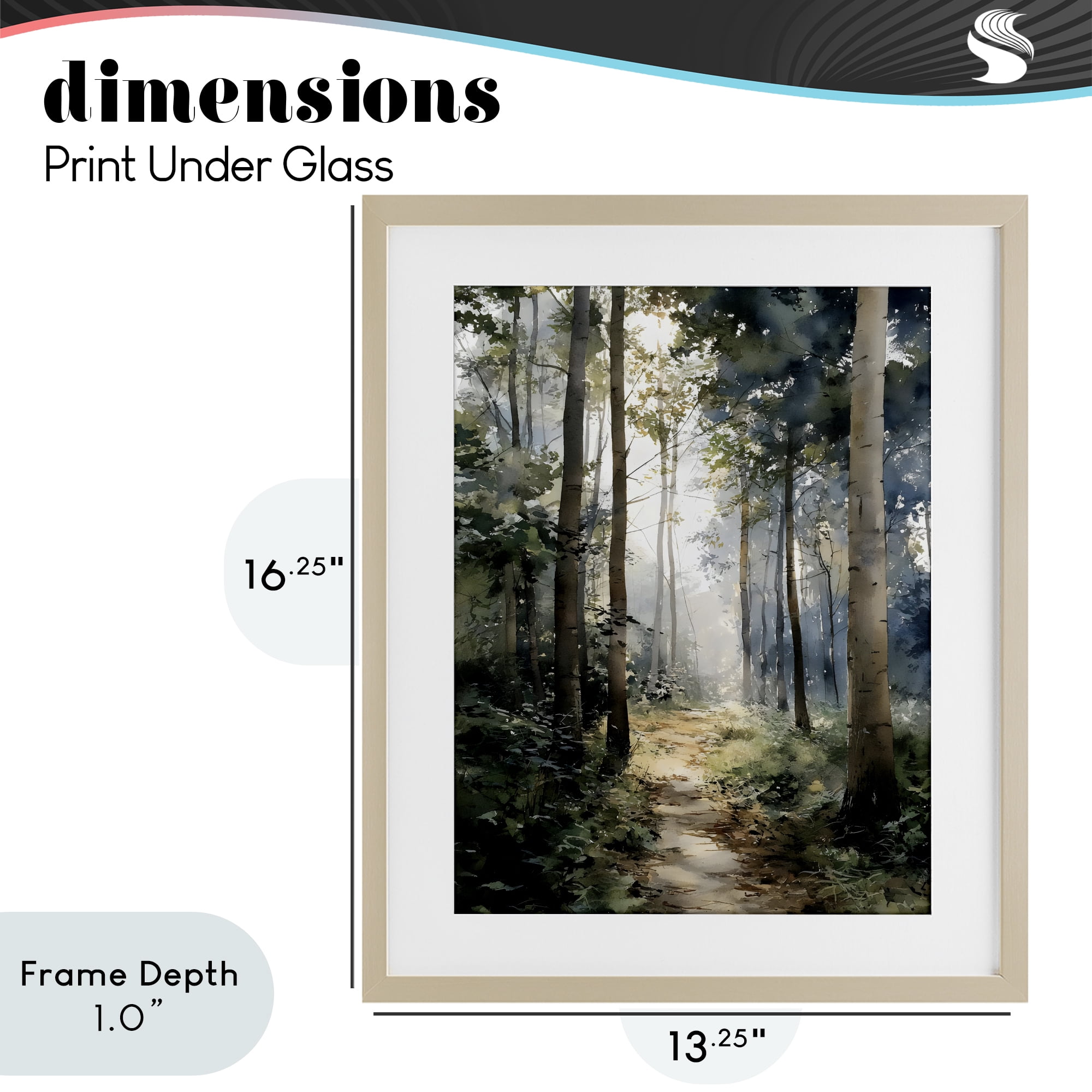 Stupell Industries Forest Path in Morning Birch Framed Print Under Glass, design by Franklyn Gregory