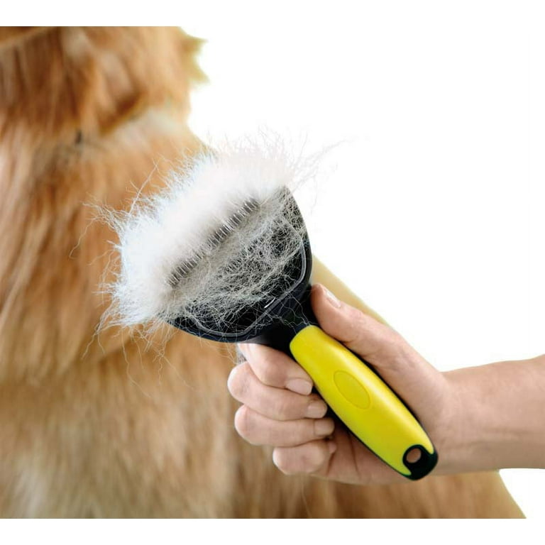Best deshedding sale tool for dogs