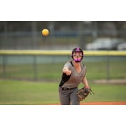 RIP-IT Adult Original Defense Softball Fielders Mask