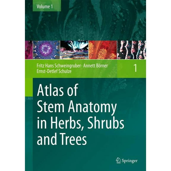 Atlas of Stem Anatomy in Herbs, Shrubs and Trees, Volume 1, (Hardcover)