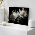 thumbnail image 3 of Wall26 Canvas Print Wall Art White Amaryllis Flower Nature Wilderness Flora Photography Print Realism Modern Art Decorative Countryside Multicolor Rustic Minimal Decor for Bedroom - 24"x36", 3 of 5