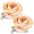 thumbnail image 2 of Curtain Accessories Flower Shape For Bathroom Curtain Holding 9x9cm Plastic Metal 2Pcs, 2 of 5