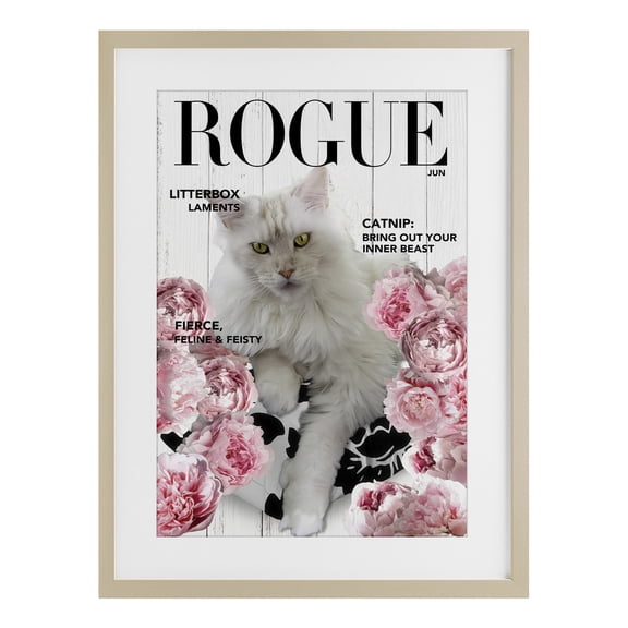 Stupell Industries Shabby Chic Funny Floral Cat Magazine Birch Framed Print Under Glass, 17 x 23, by Sasha