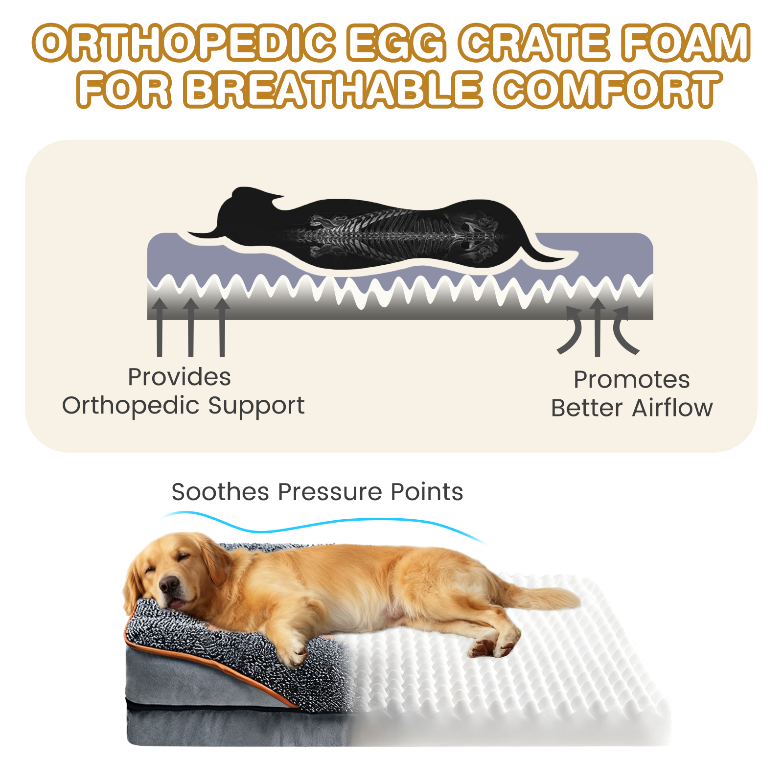 Cshidworld Orthopedic Dog Sofa Bed, Large 30x20 Inch photo 6