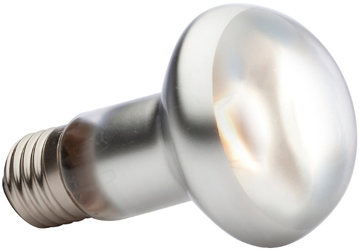 intense basking spot